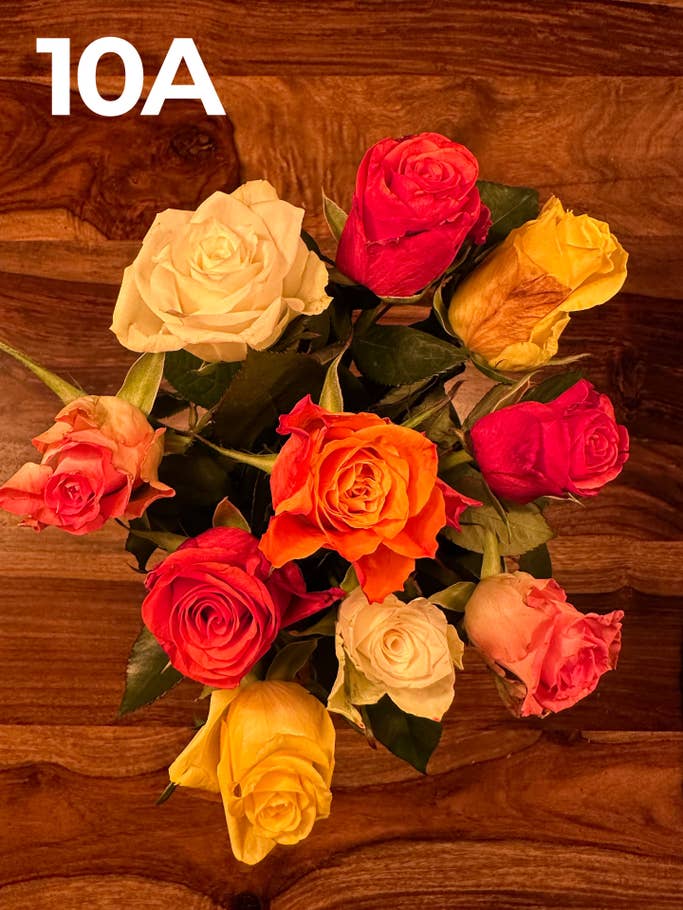 Kamera-Blindtest 2022