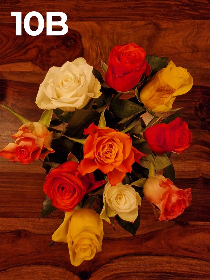 Kamera-Blindtest 2022