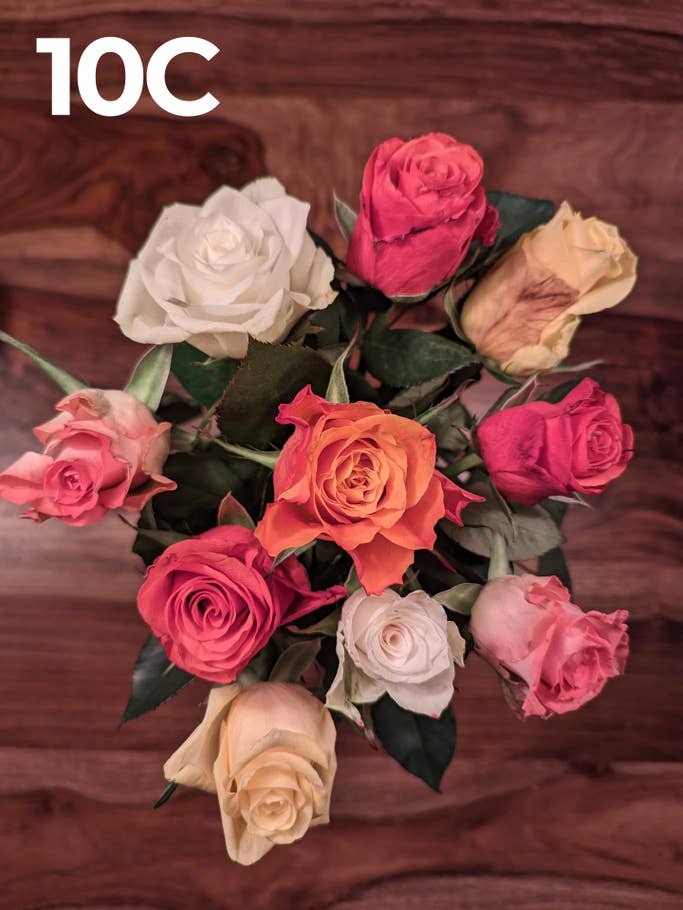 Kamera-Blindtest 2022