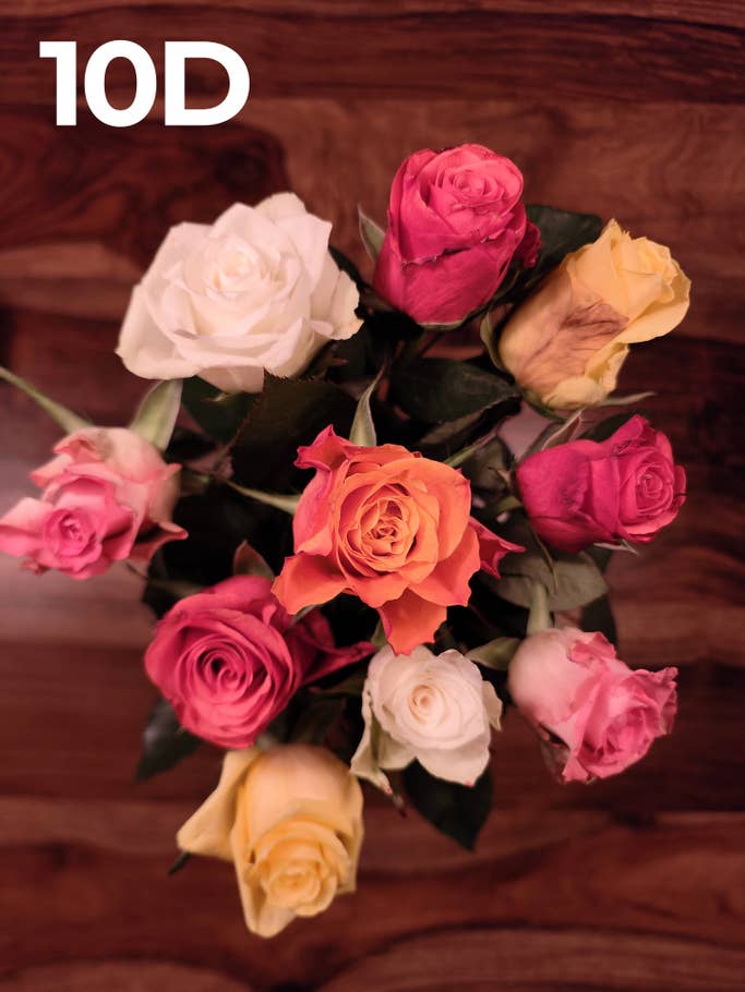 Kamera-Blindtest 2022