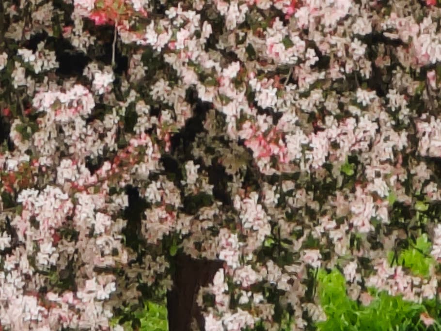 Testfotos geschossen mit der Ultra-Kamera des Xiaomi 13 Ultra