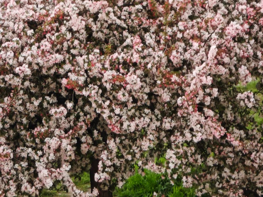 Testfotos geschossen mit der Ultra-Kamera des Xiaomi 13 Ultra