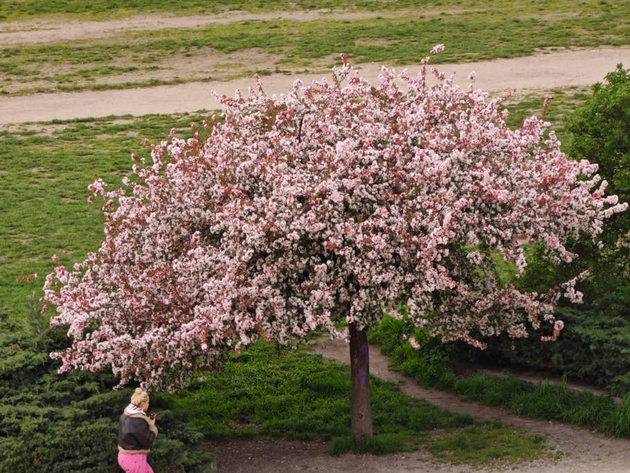 Testfotos geschossen mit der Ultra-Kamera des Xiaomi 13 Ultra