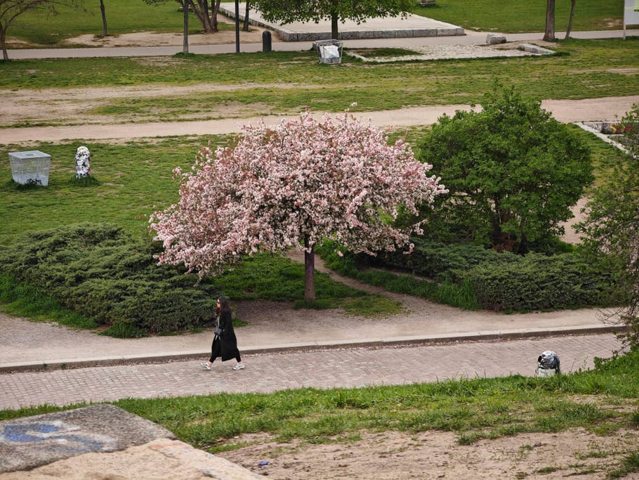 Testfotos geschossen mit der Ultra-Kamera des Xiaomi 13 Ultra