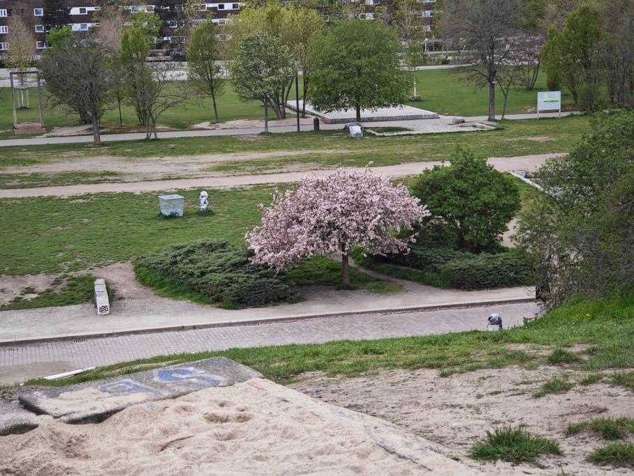 Testfotos geschossen mit der Ultra-Kamera des Xiaomi 13 Ultra