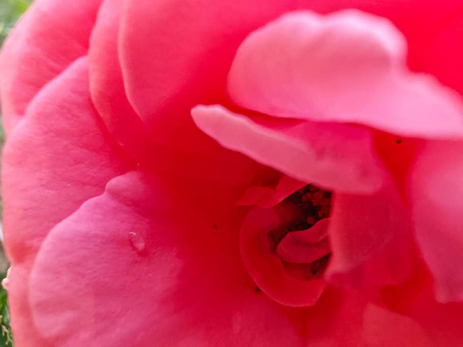 Testfotos geschossen mit der Kamera des Xiaomi 13 Ultra (global)