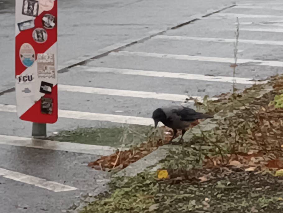 Samsung-Galaxy-A22-5G-8