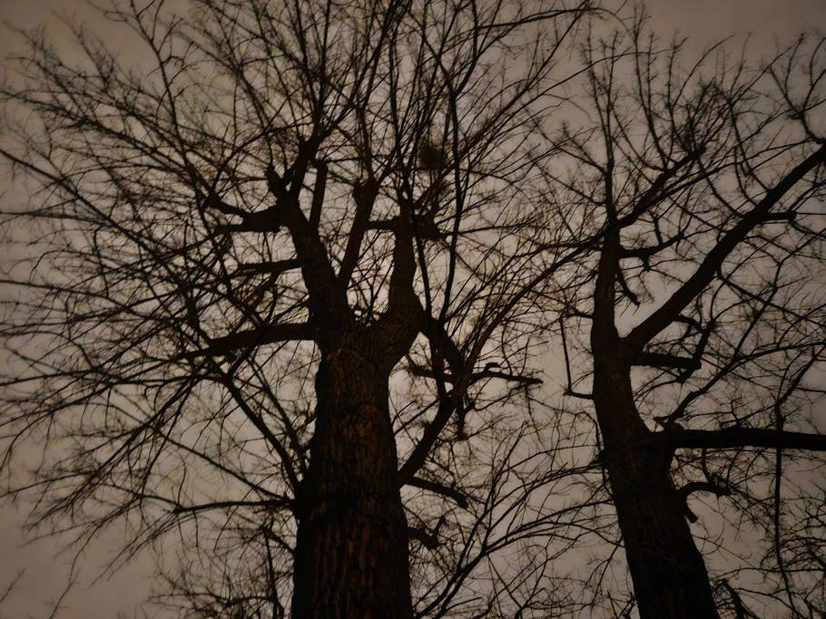 Samsung Galaxy S23 Testfoto