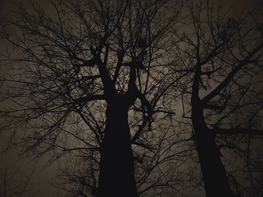 Samsung Galaxy S23 Testfoto