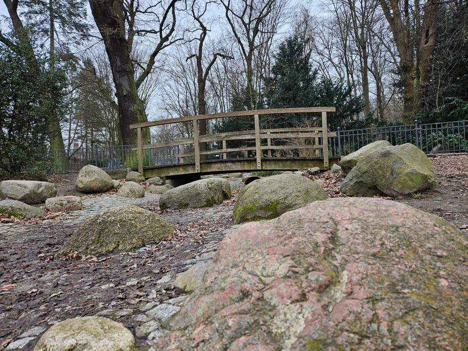 Samsung Galaxy S23 Testfoto