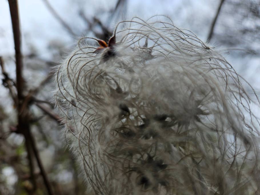 Samsung Galaxy S23 Testfoto