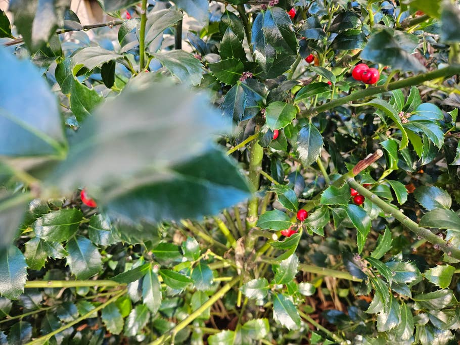 Samsung Galaxy S23 Testfoto