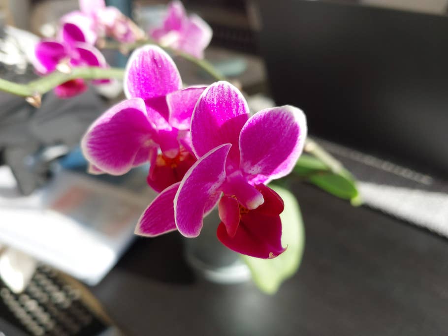 Samsung Galaxy XCover 6 Pro Testfoto