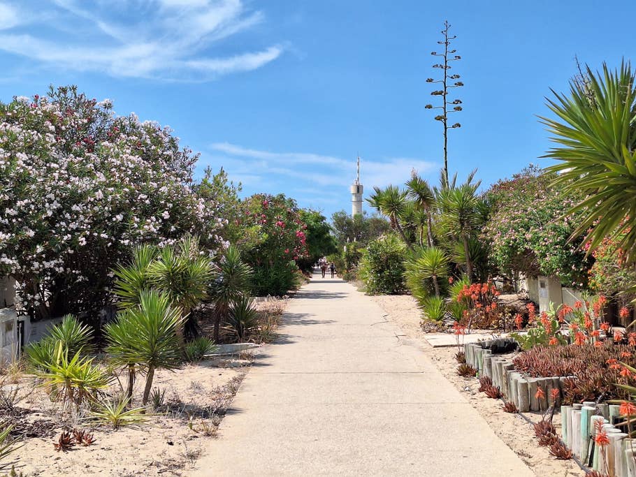 Samsung Galaxy A54 – Testfotos