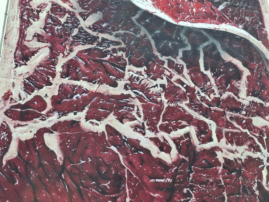 Samsung Galaxy A54 – Testfotos