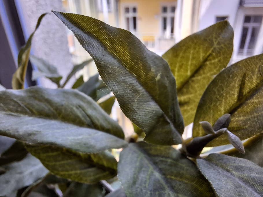 Samsung Galaxy A54 – Testfotos