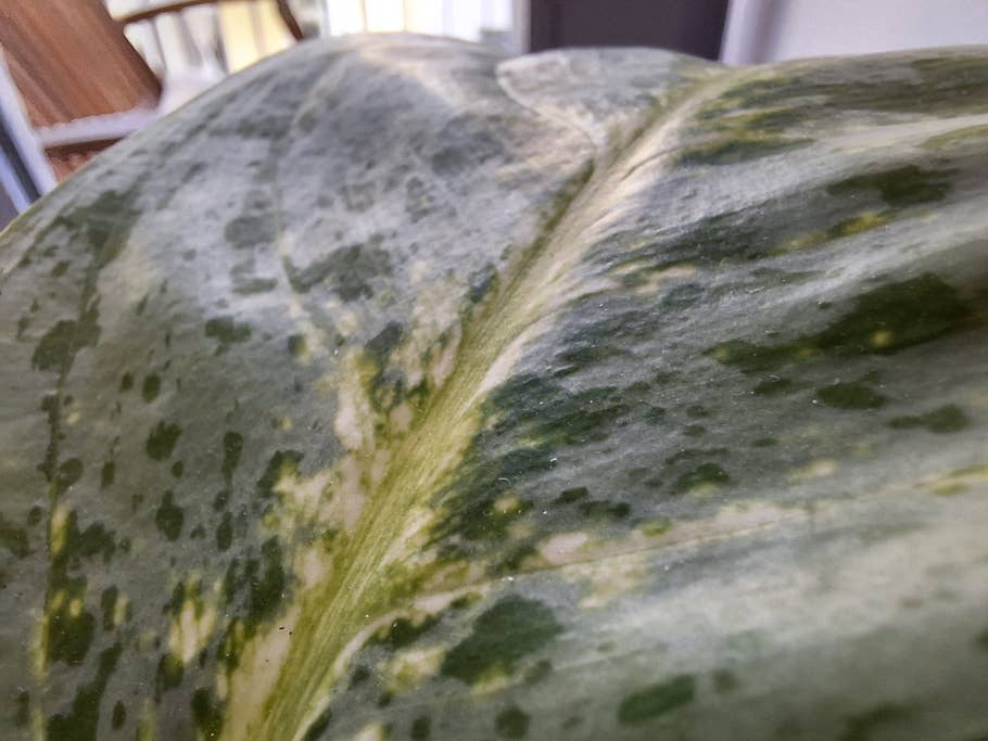 Samsung Galaxy A54 – Testfotos