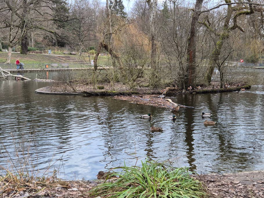 Testfotos erstellt mit der Kamera des Samsung Galaxy S24