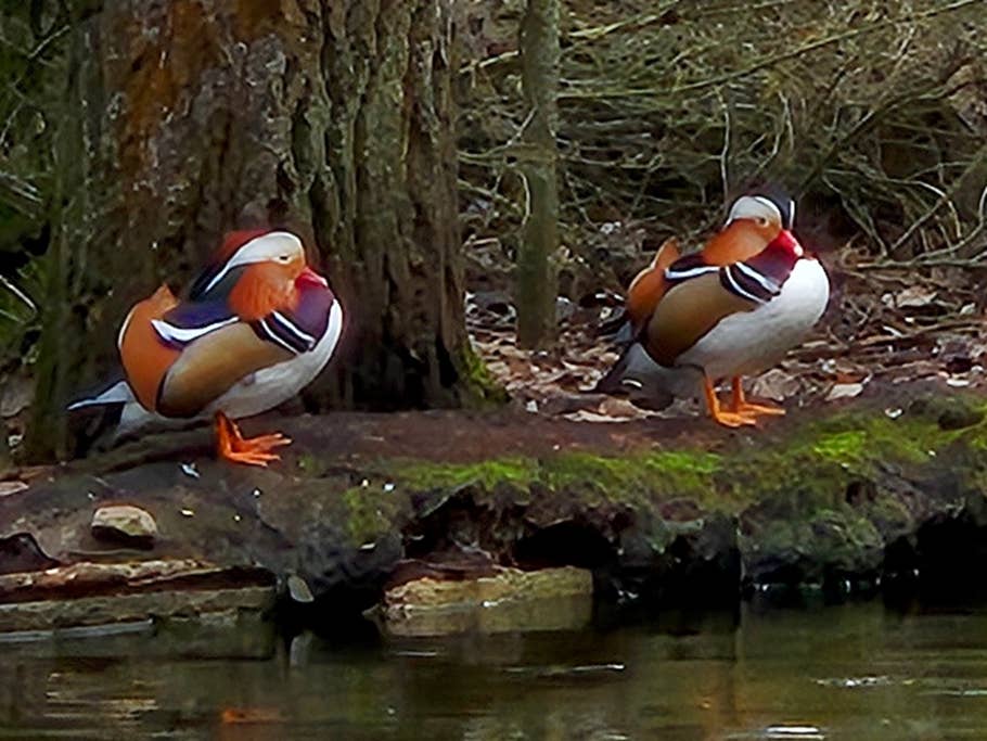 Testfotos erstellt mit der Kamera des Samsung Galaxy S24