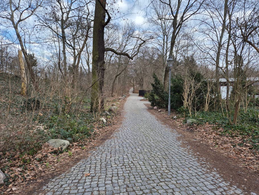 Testfotos erstellt mit der Kamera des Samsung Galaxy S24