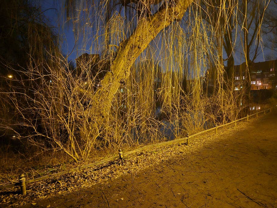 Testfotos erstellt mit der Kamera des Samsung Galaxy S24