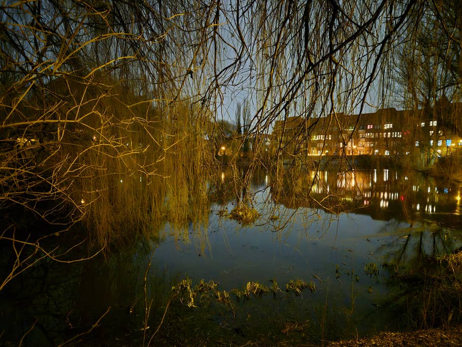 Testfotos erstellt mit der Kamera des Samsung Galaxy S24