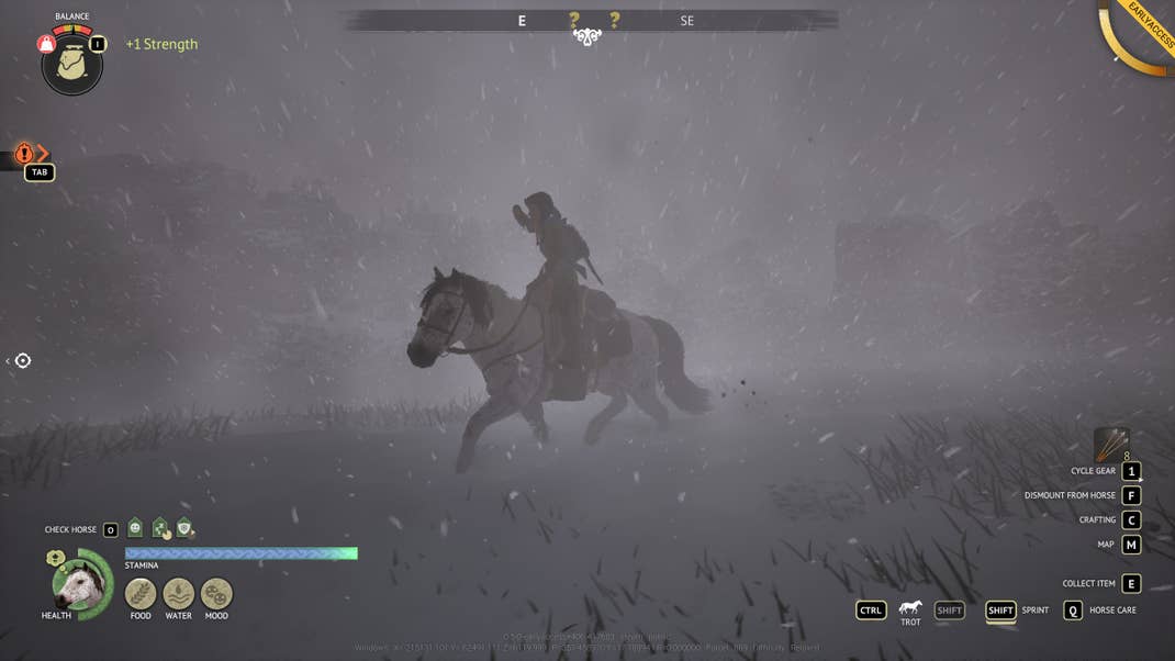 A horse riding through a snow storm.