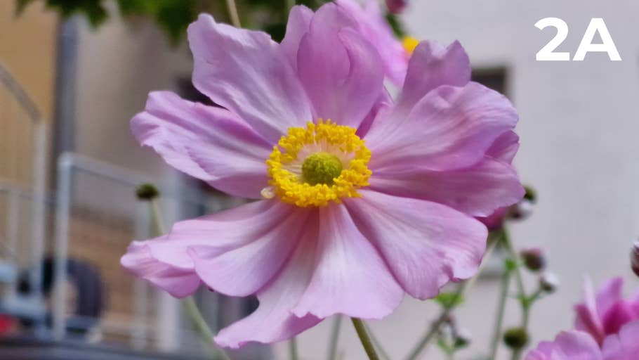 Testfoto für 200 Megapixel Blindtest