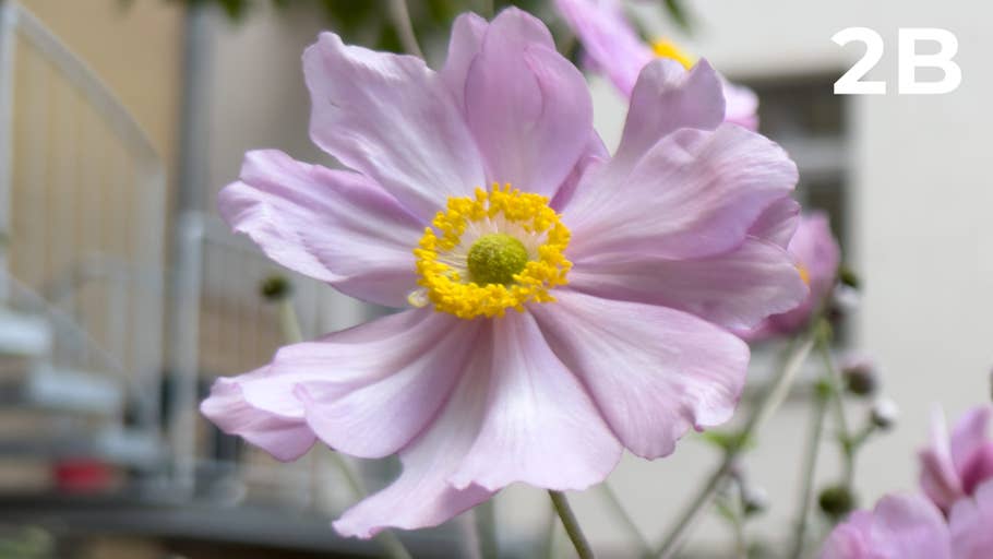 Testfoto für 200 Megapixel Blindtest