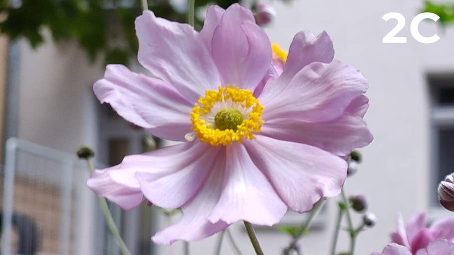 Testfoto für 200 Megapixel Blindtest