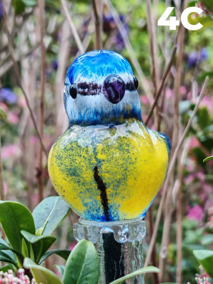 Kamera-Blindtest H1 2024 – Testfoto