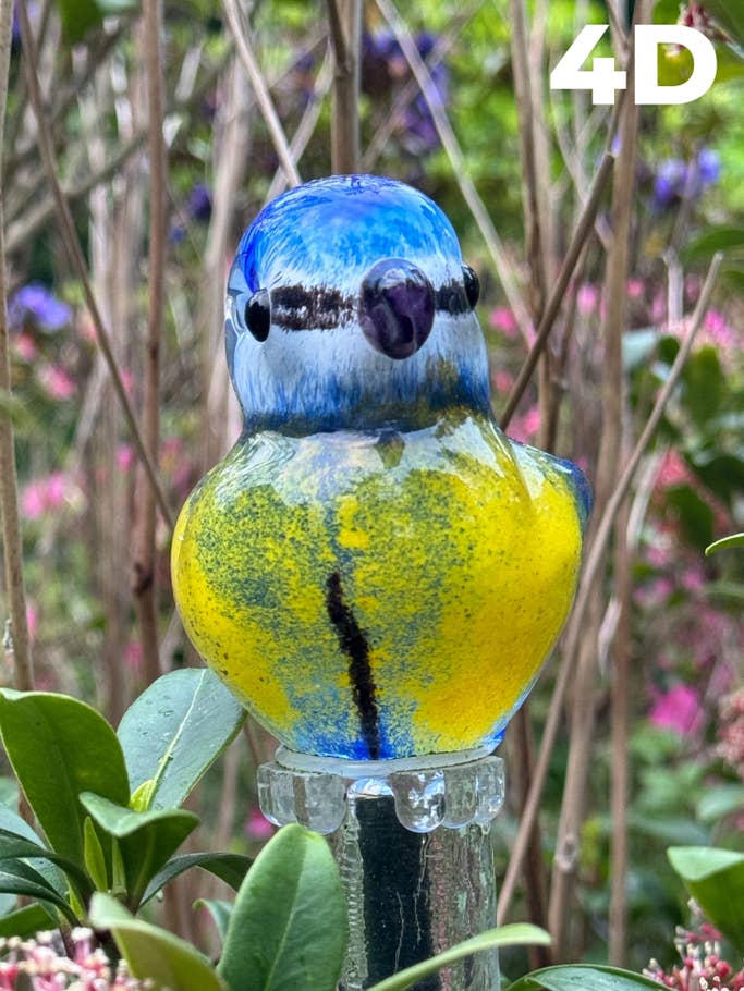 Kamera-Blindtest H1 2024 – Testfoto