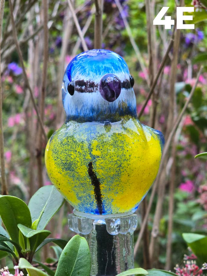 Kamera-Blindtest H1 2024 – Testfoto