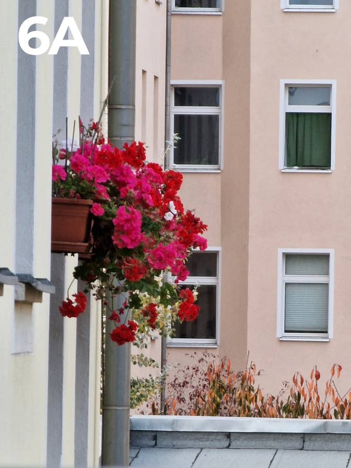 Kamera-Blindtest 2022