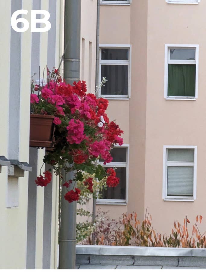 Kamera-Blindtest 2022