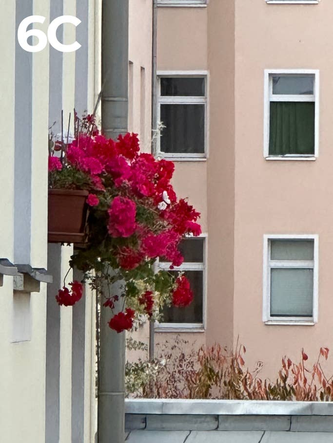 Kamera-Blindtest 2022