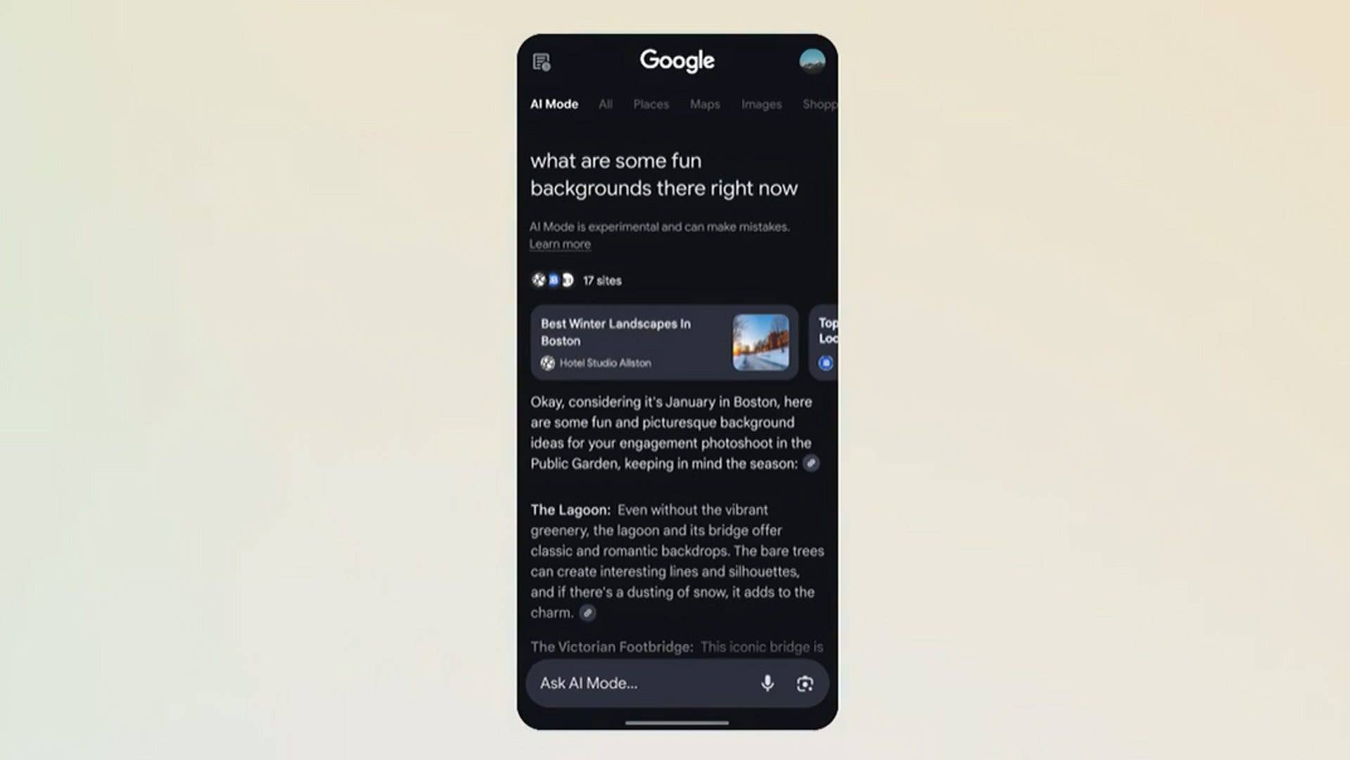 Google-Suche-Oberfläche zeigt lustige Hintergrundideen für Fotoshootings in Boston.