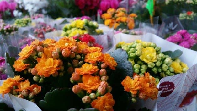 samsung,galaxy,note,4,test,foto,kamera