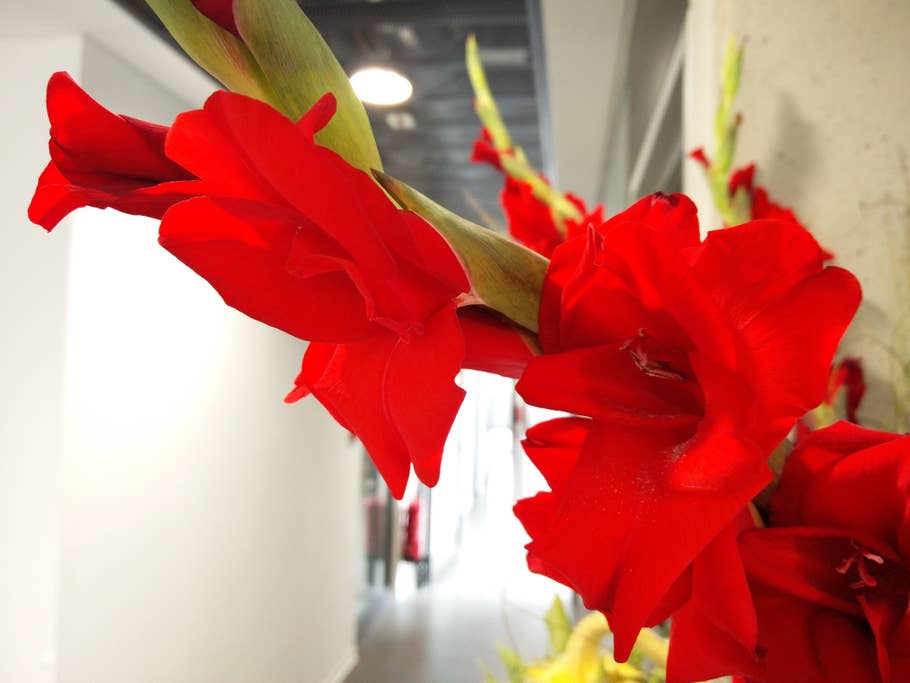 oneplus-2, oneplus-2-camera