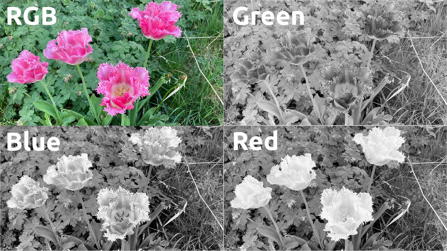 AndroidPIT apple iphone se 2 image quality color channels