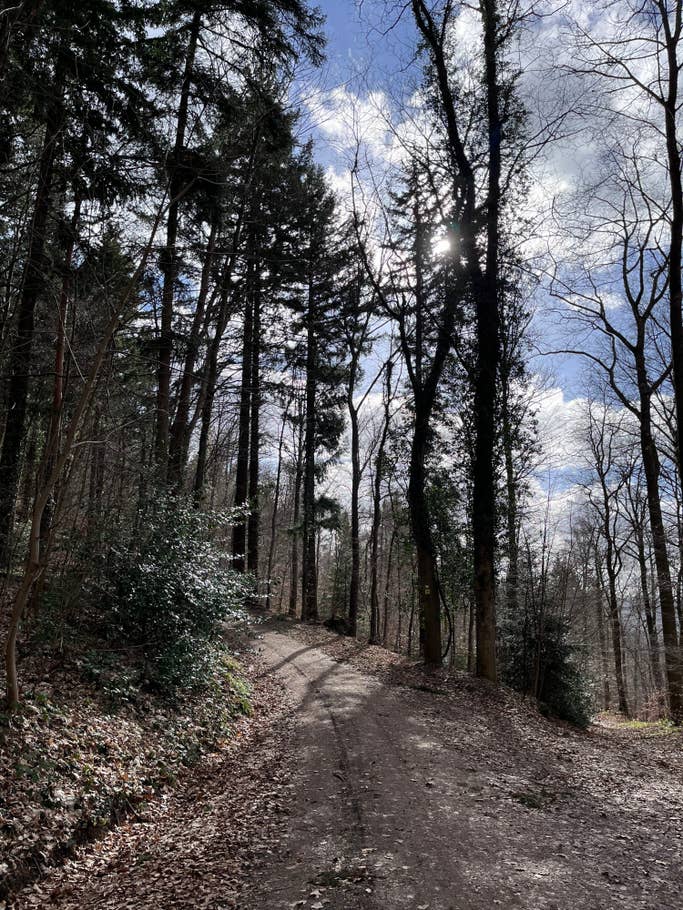 Apple-iPhone-13-mini-testfotos-13