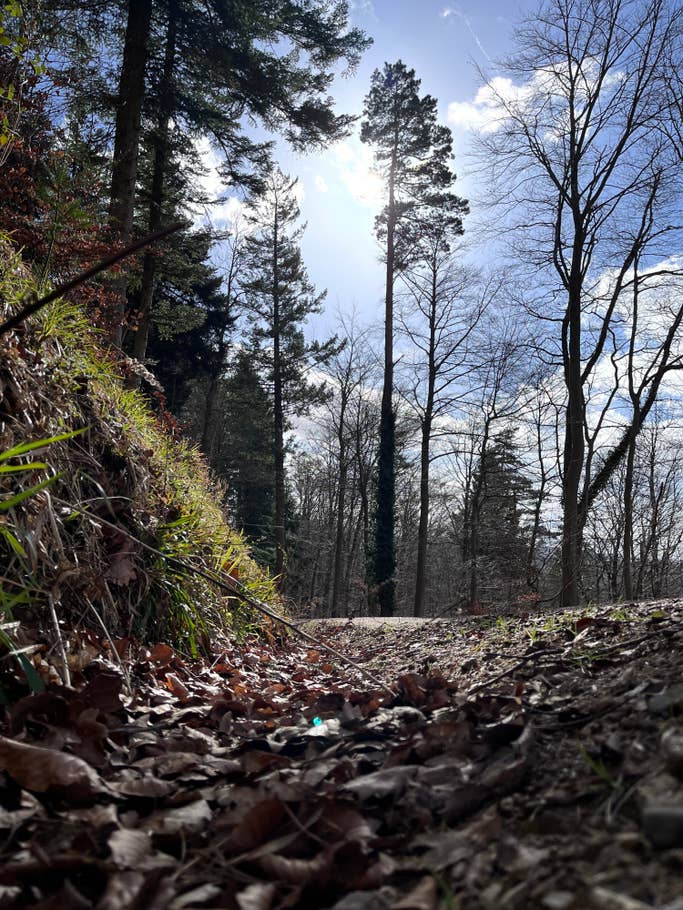 Apple-iPhone-13-mini-testfotos-05