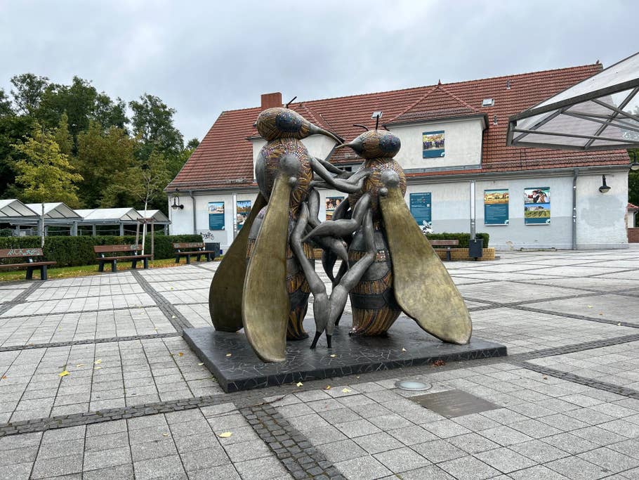 Apple iPhone 14 Testfotos 15