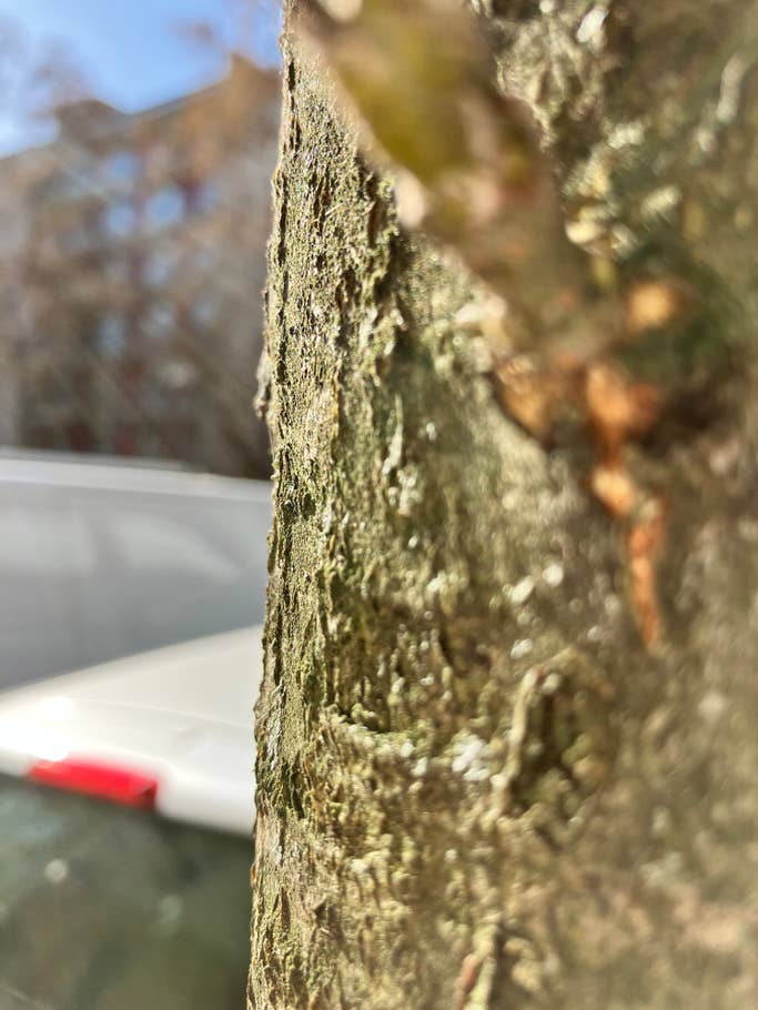 Apple iPhone SE 2022 Testfotos 10