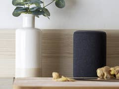 Apple Homepod neben einer Zimmerpflanze