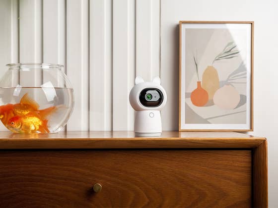 Last-Minute-Geschenke von Aqara: Smart-Home-Gadgets mit starken Rabatten