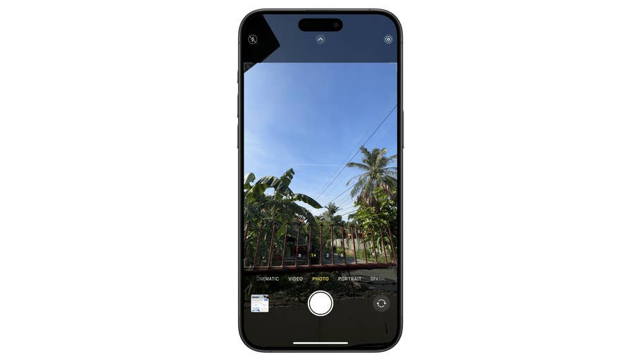 iPhone-Kameraoberfläche zeigt einen Blick auf Palmen und einen klaren blauen Himmel.