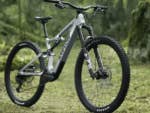 DJI Amflow PL E-Bike steht in einem Wald