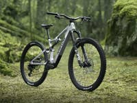 DJI Amflow PL E-Bike steht in einem Wald