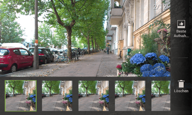 Ein Stadtweg mit Bäumen, Autos und Fahrrädern; im Vordergrund blühende, blaue und rosa Blumen.